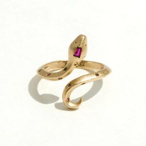 Joy Draveky Guardian Ring in Ruby